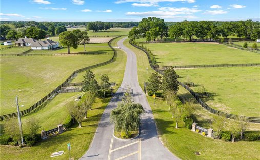 Farm Ranch in Reddick, Florida, United States 1
