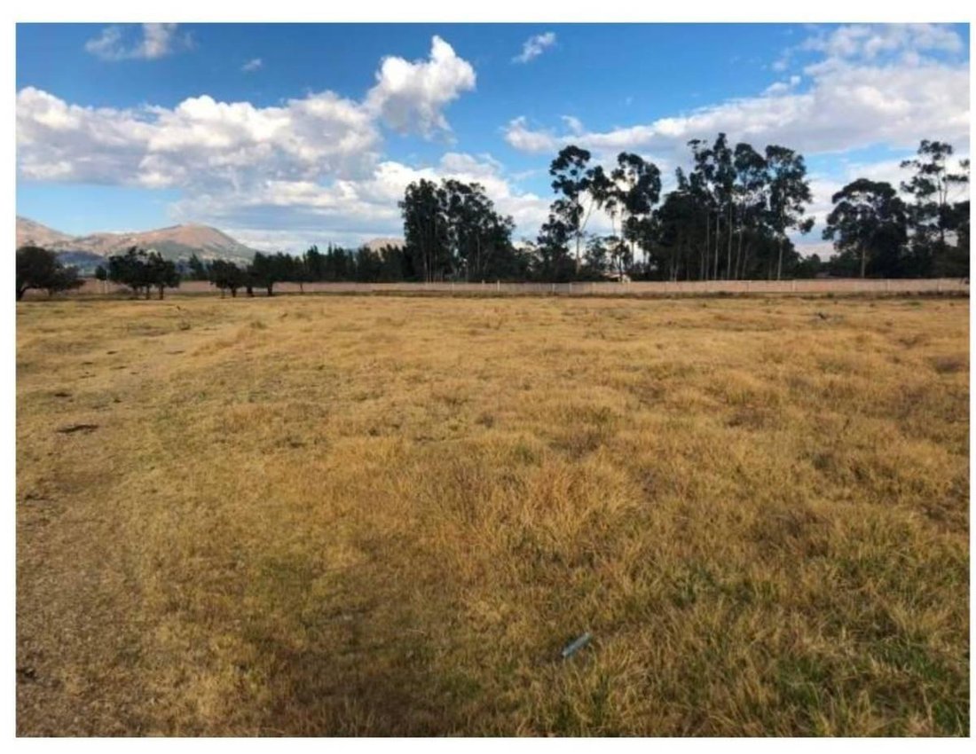 Land in Cajamarca, Belarus 5 - 18642505