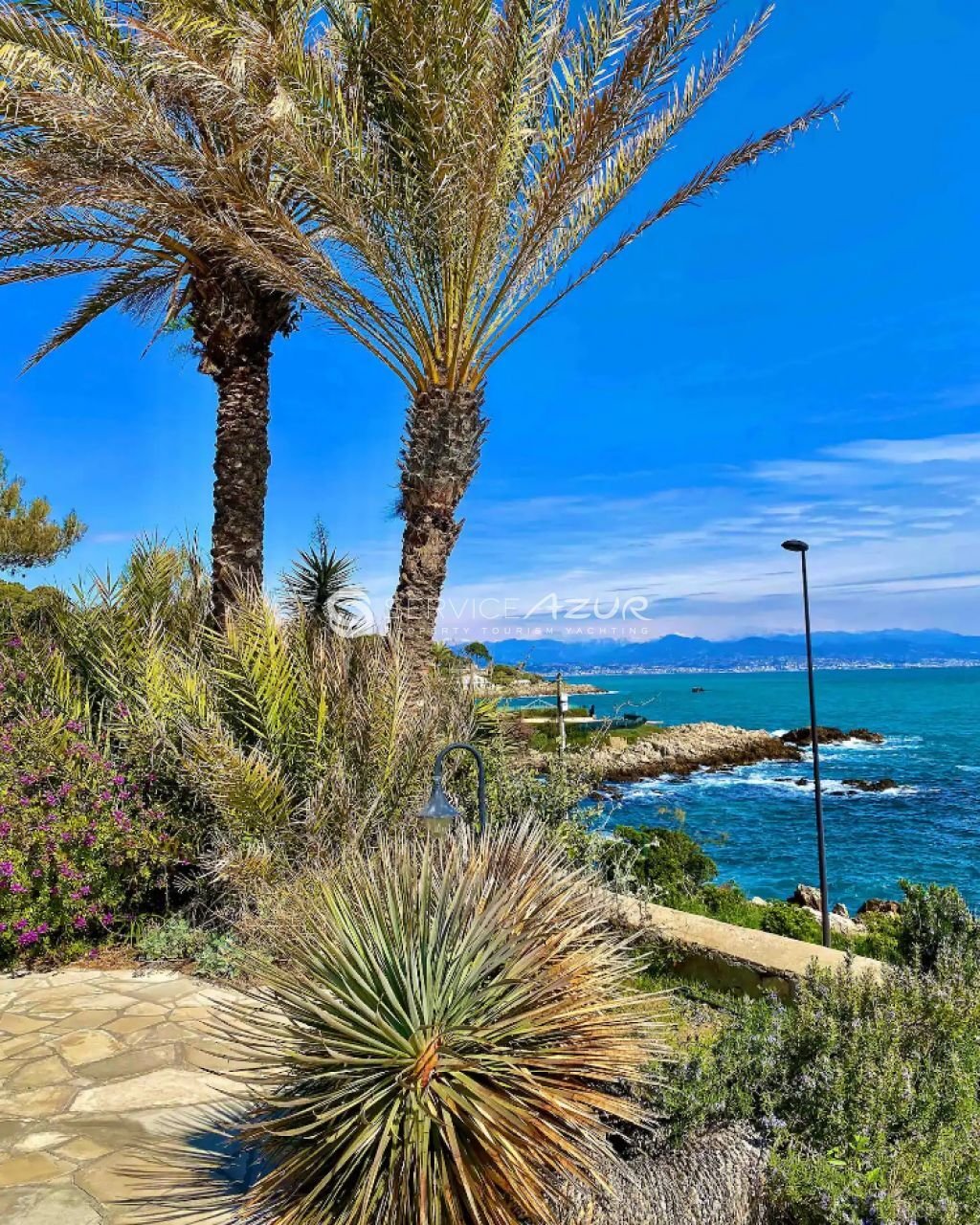 Villa in Vieille Ville, Antibes, France 4 - 18644919