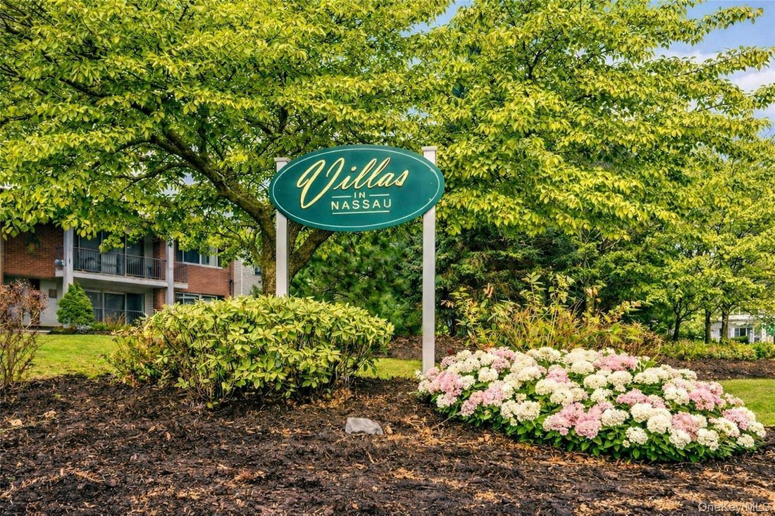 Condo in Plainview, New York, United States 1 - 18646751
