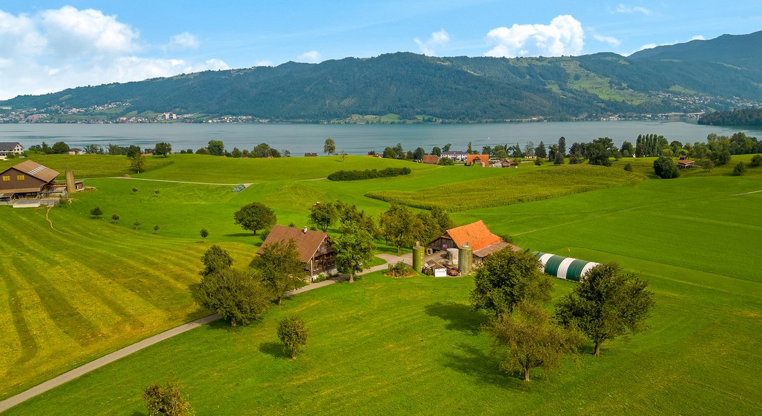Land in Risch-Rotkreuz, Canton of Zug, Switzerland 4 - 18648403