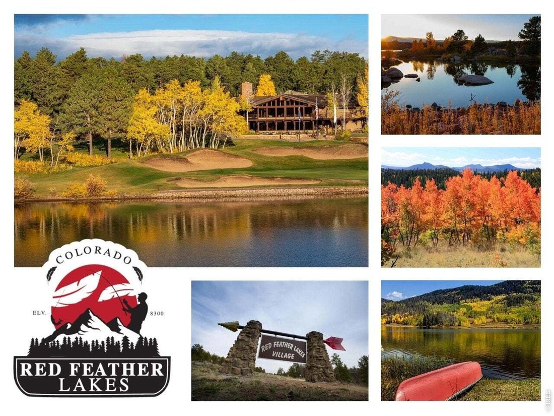 Red Feather Lakes, Colorado, United States 3 - 18646053