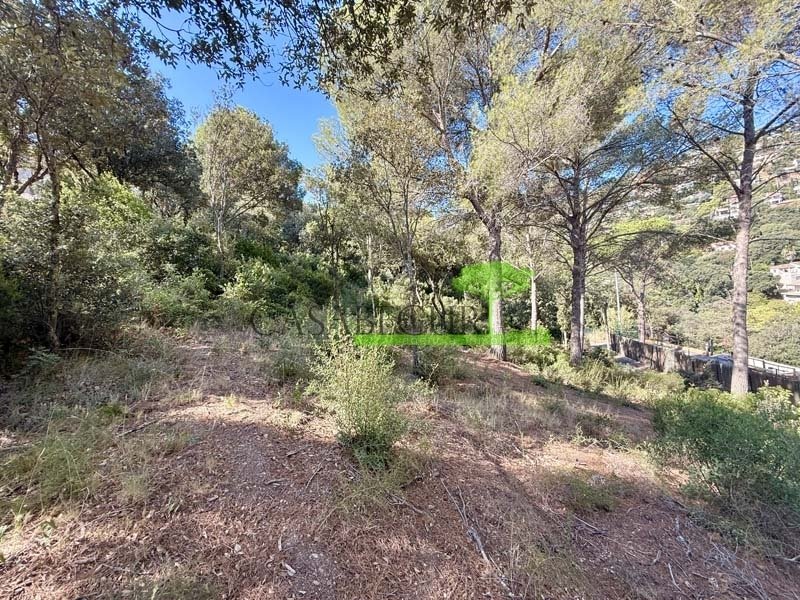 Land in Begur, Catalonia, Spain 3 - 18408335