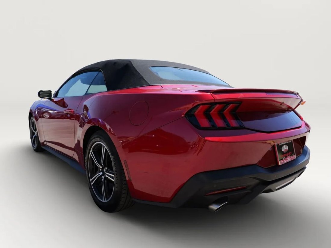Cabriolet in El Paso, TX, United States 3 - 15867185