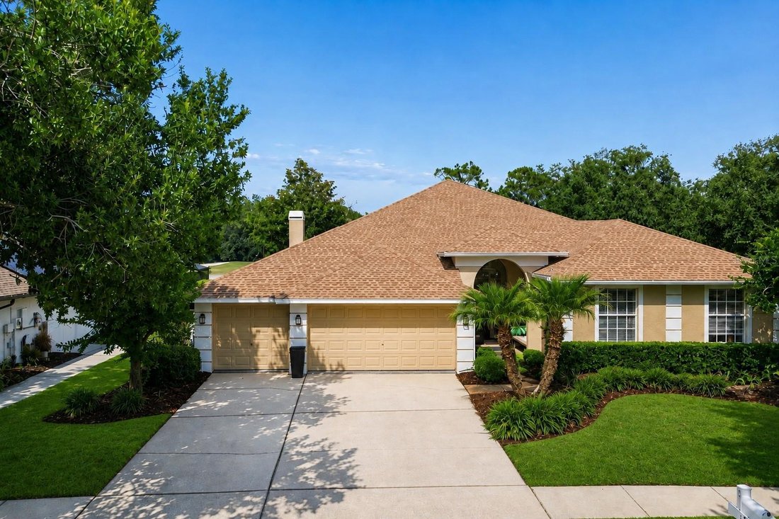 House in Tampa, Florida, United States 1 - 17180522