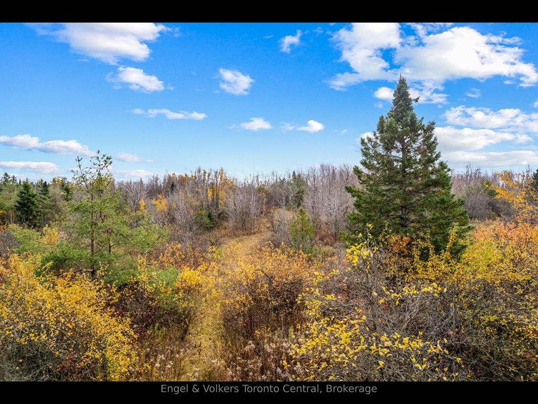 Land in Grey Highlands, Ontario, Canada 3 - 18642947