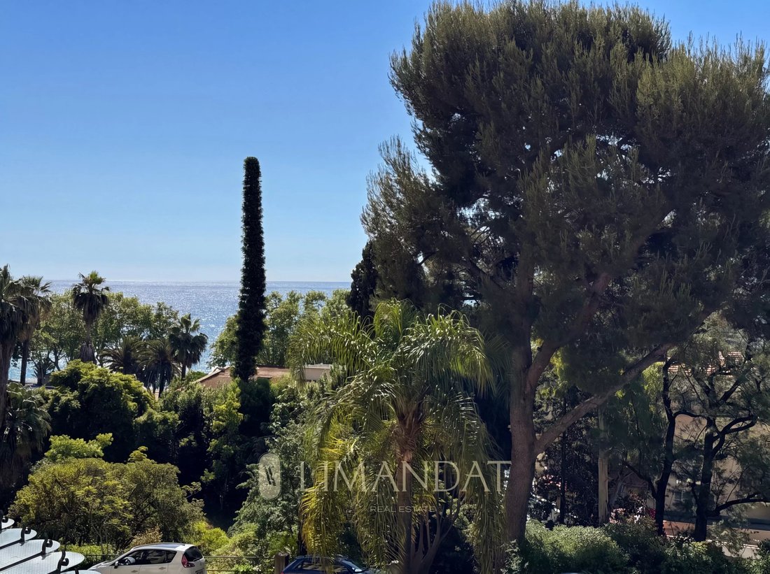 Apartment in Menton, Provence-Alpes-Côte d'Azur, France 2 - 18644416
