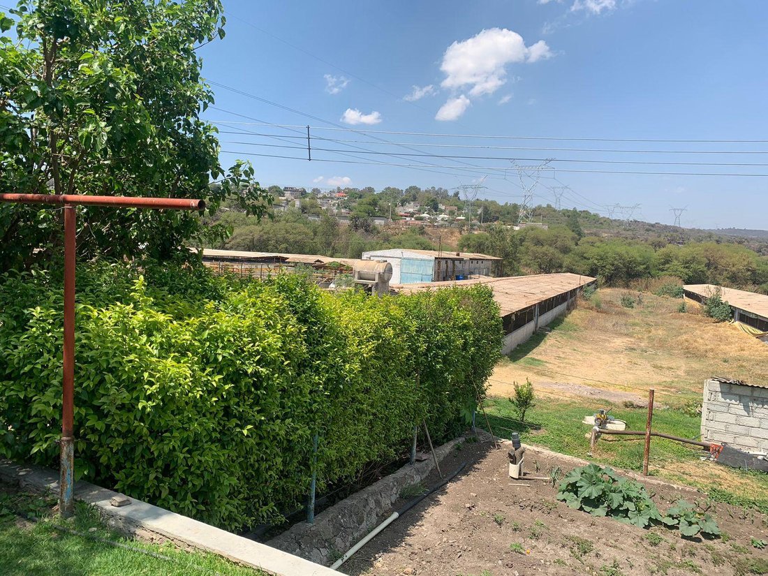 Land in Santiago de Querétaro, Querétaro, Mexico 3 - 18644564