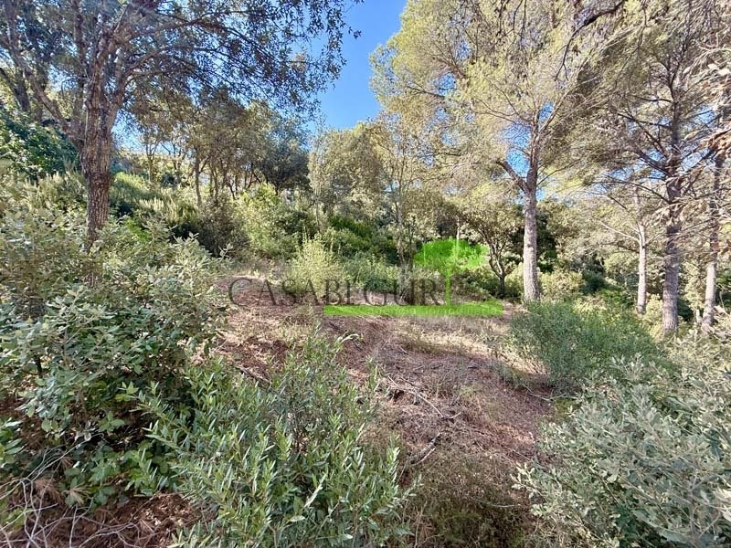 Land in Begur, Catalonia, Spain 5 - 18408335