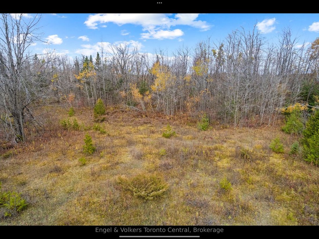 Land in Grey Highlands, Ontario, Canada 4 - 18642947