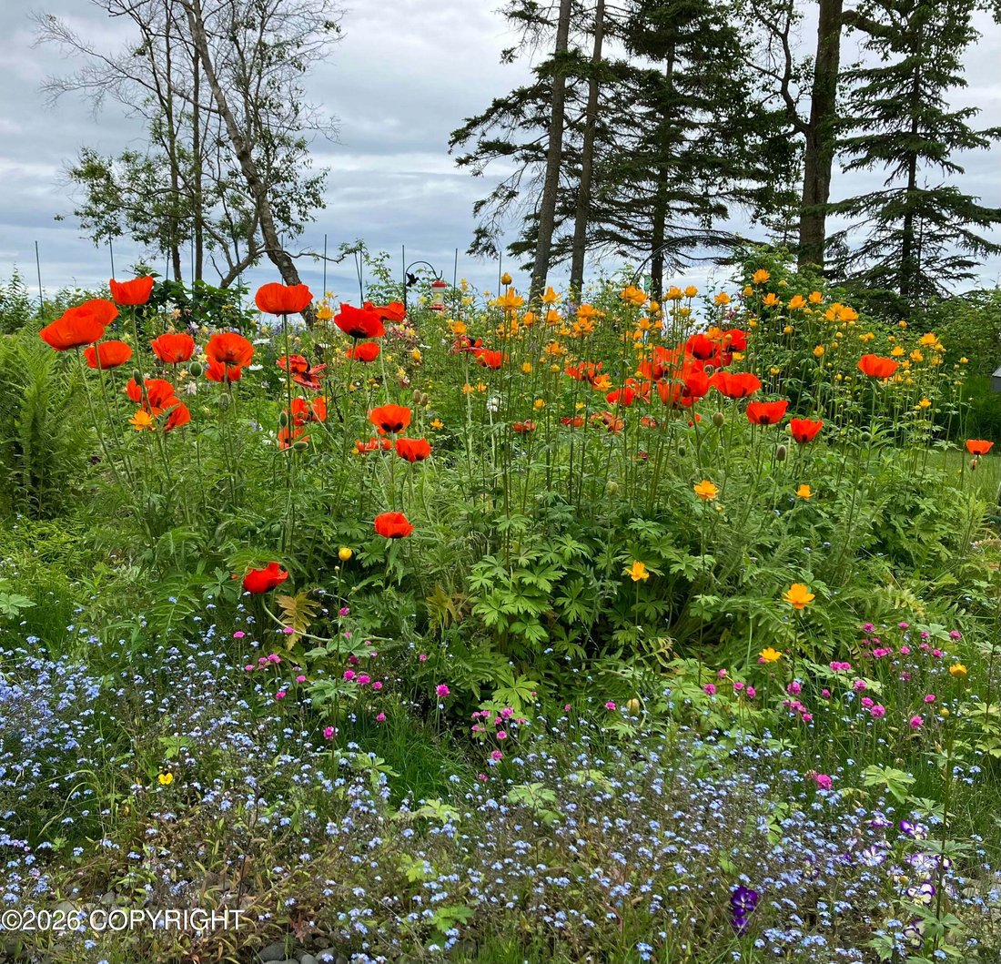 House in Kenai, Alaska, United States 5 - 18645393