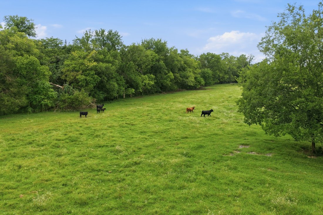 Farm Ranch in Murfreesboro, Tennessee, United States 5 - 18642230