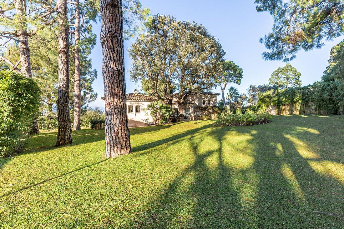 Villa in Vieille Ville, Antibes, France 5 - 18645296
