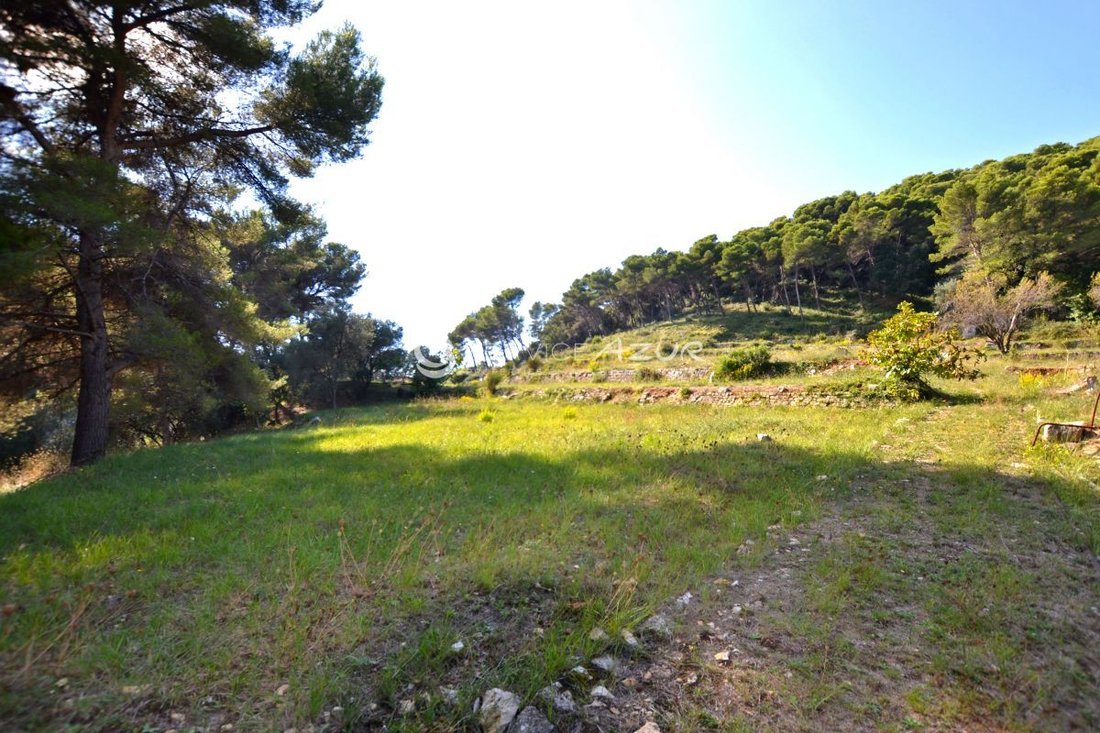 Land in Cannes, Provence-Alpes-Côte d'Azur, France 5 - 18644826