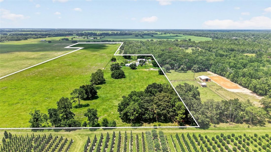 House in Morriston, Florida, United States 3 - 18646827