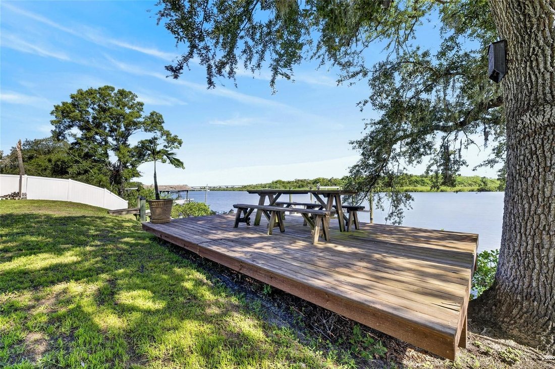 House in Tampa, Florida, United States 5 - 18646251