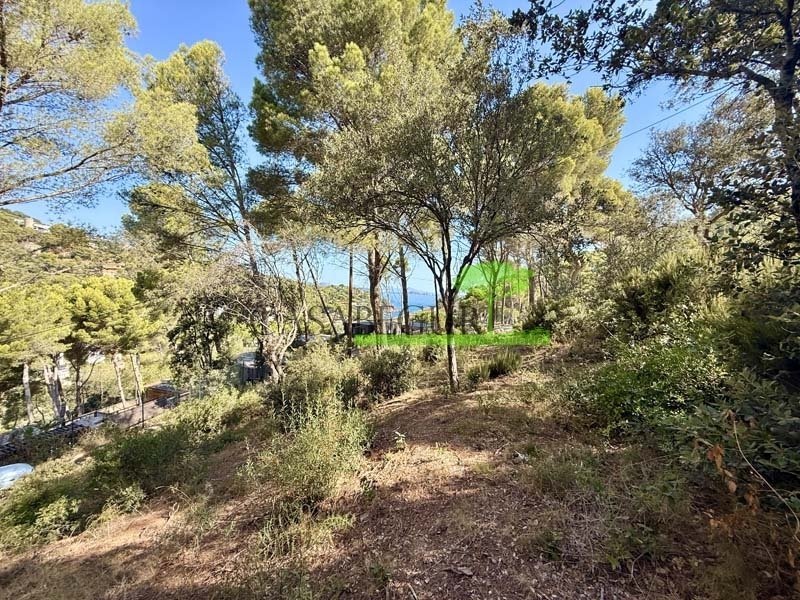 Land in Begur, Catalonia, Spain 4 - 18408335