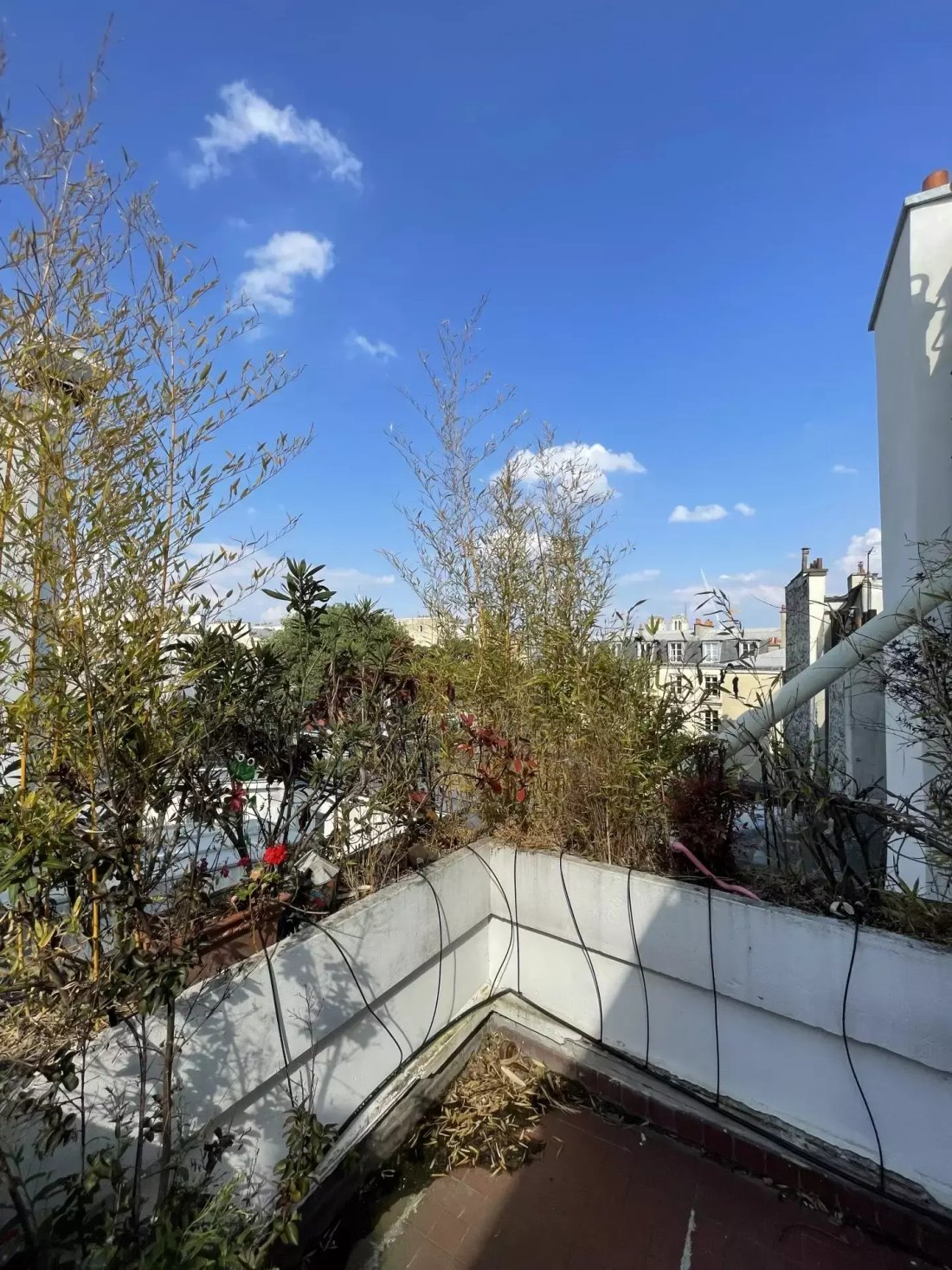 Apartment in Odéon, Paris 6e Arrondissement, Paris 1 - 15959380