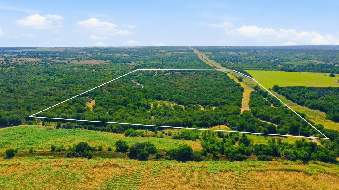 Farm Ranch in Dublin, Texas, United States 3 - 18646922