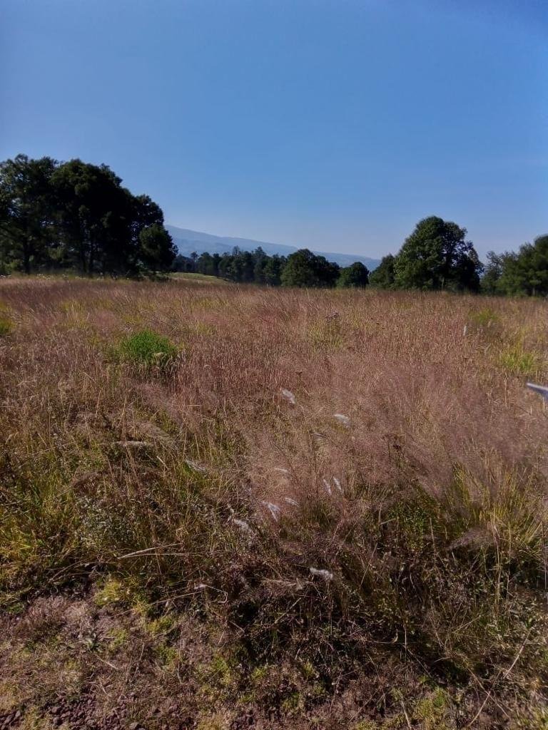 Land in Santa Ana Jilotzingo, State of Mexico, Mexico 2 - 18644679