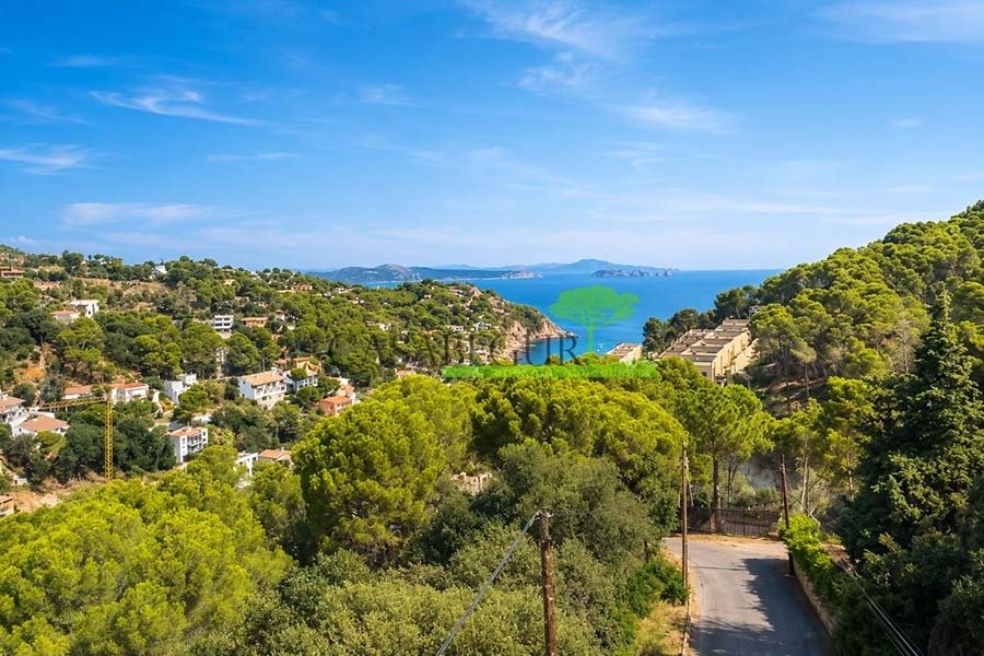 Land in Begur, Catalonia, Spain 1 - 18408335