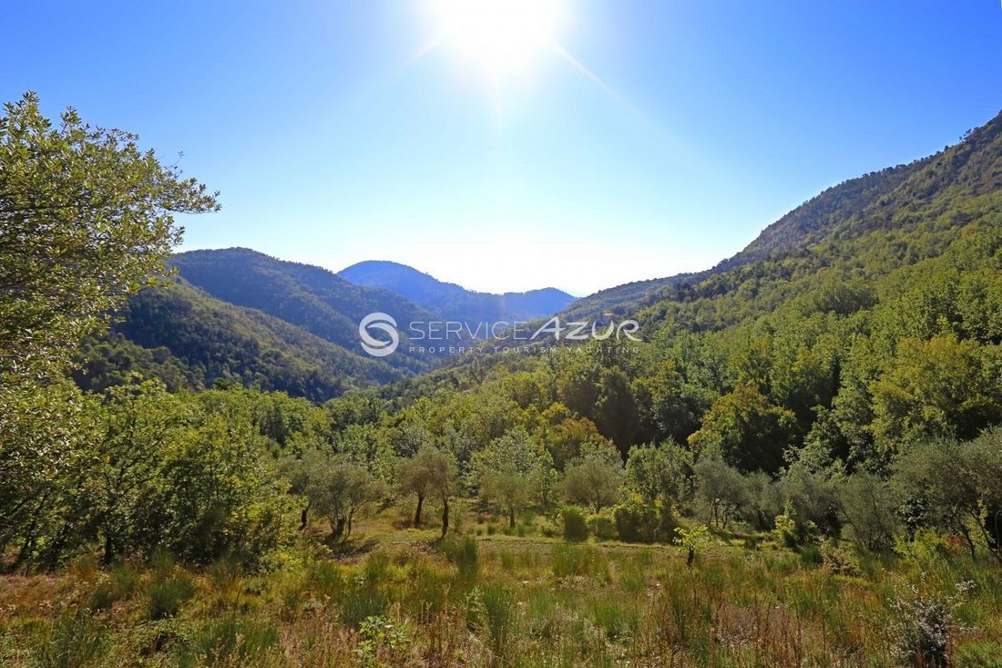 Villa in Liberation, Nice, France 2 - 18644864