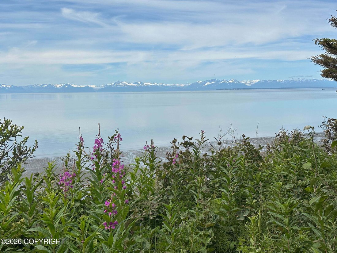 House in Kenai, Alaska, United States 2 - 18645393