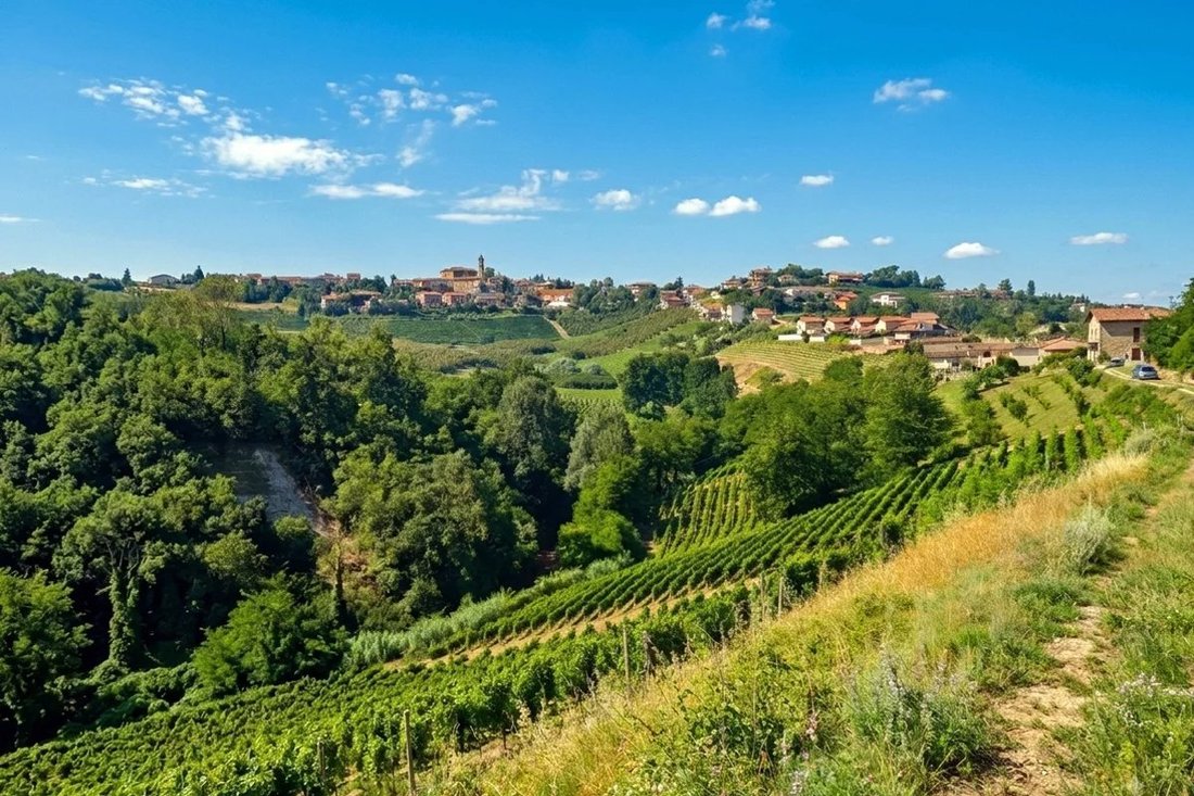 Country House in Mango, Piedmont, Piedmont, Italy 4 - 18644213