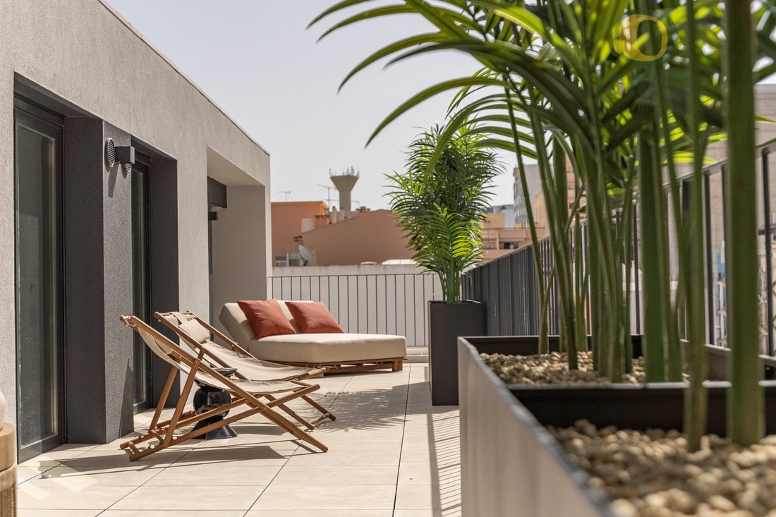 Apartment in Faro (Se e Sao Pedro), Algarve, Portugal 1 - 16598586