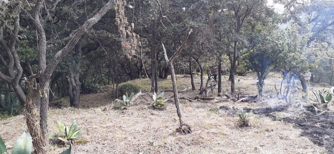 Land in Ciudad López Mateos, State of Mexico, Mexico 4 - 18644751