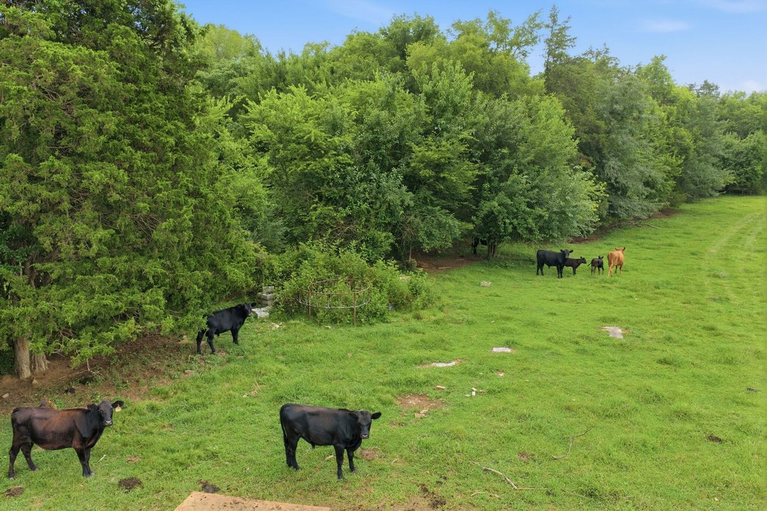 Farm Ranch in Murfreesboro, Tennessee, United States 4 - 18642230