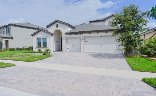 House in Riverview, Florida, United States 1