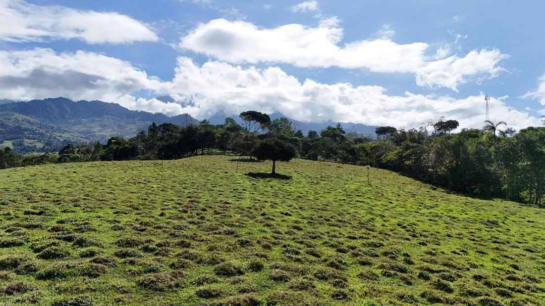 Land in Cajon, Pérez Zeledón, Costa Rica 3 - 18643722
