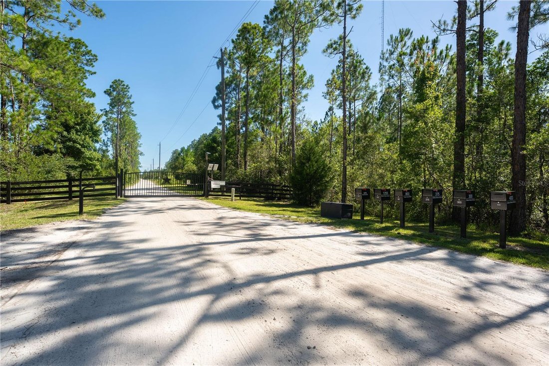 House in DeLand, Florida, United States 2 - 18643082