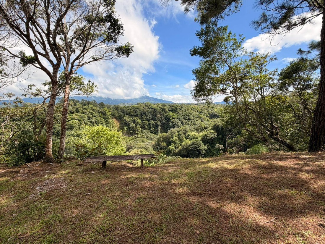 Land in Los Naranjos, Chiriquí Province, Panama 3 - 18643934