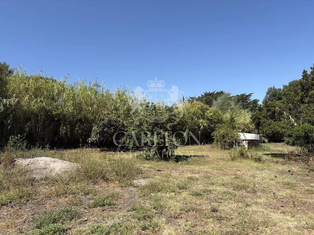 Land in Gassin, Provence-Alpes-Côte d'Azur, France 2 - 18643940