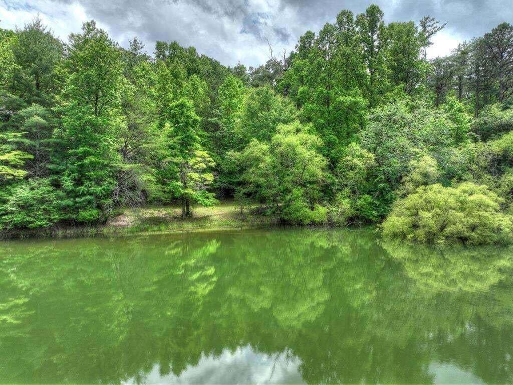 House in Blairsville, Georgia, United States 4 - 18643985