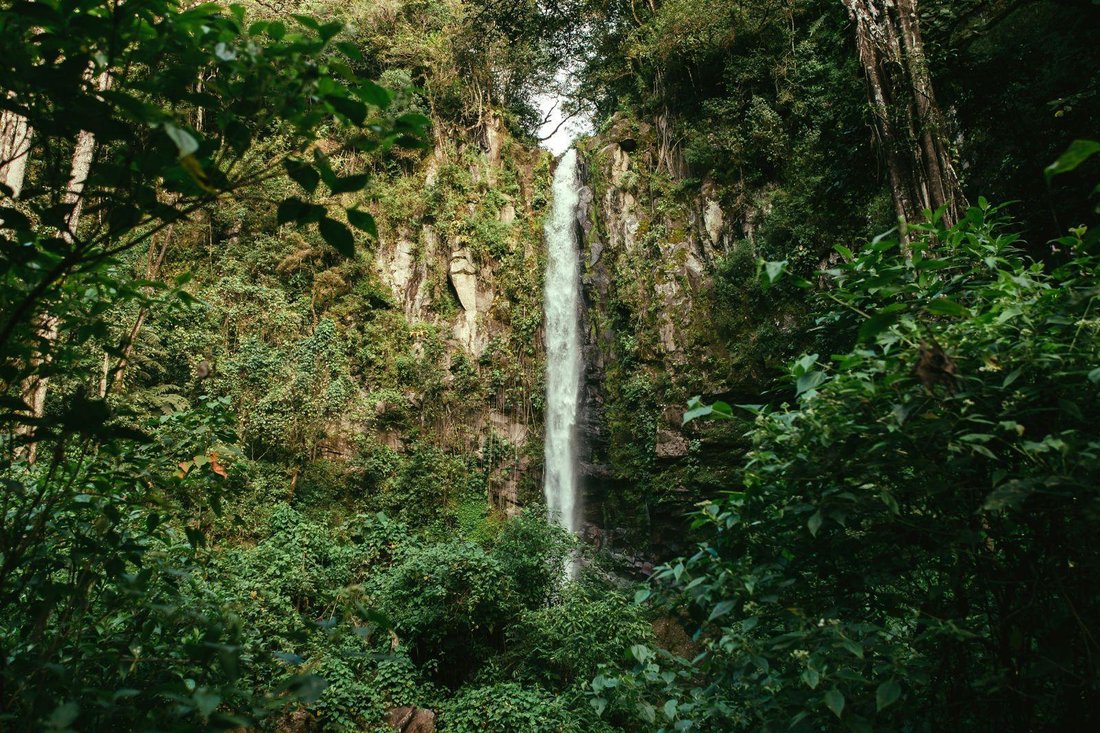 Land in Paso Ancho, Chiriquí Province, Panama 1 - 18644253