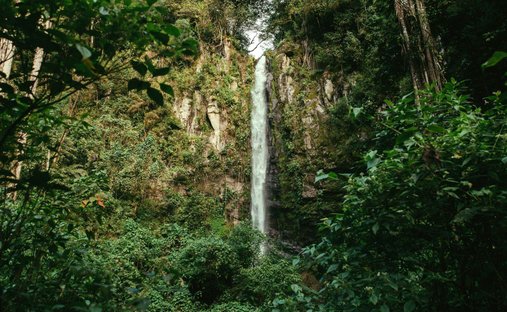 Land in Paso Ancho, Chiriquí Province, Panama 1