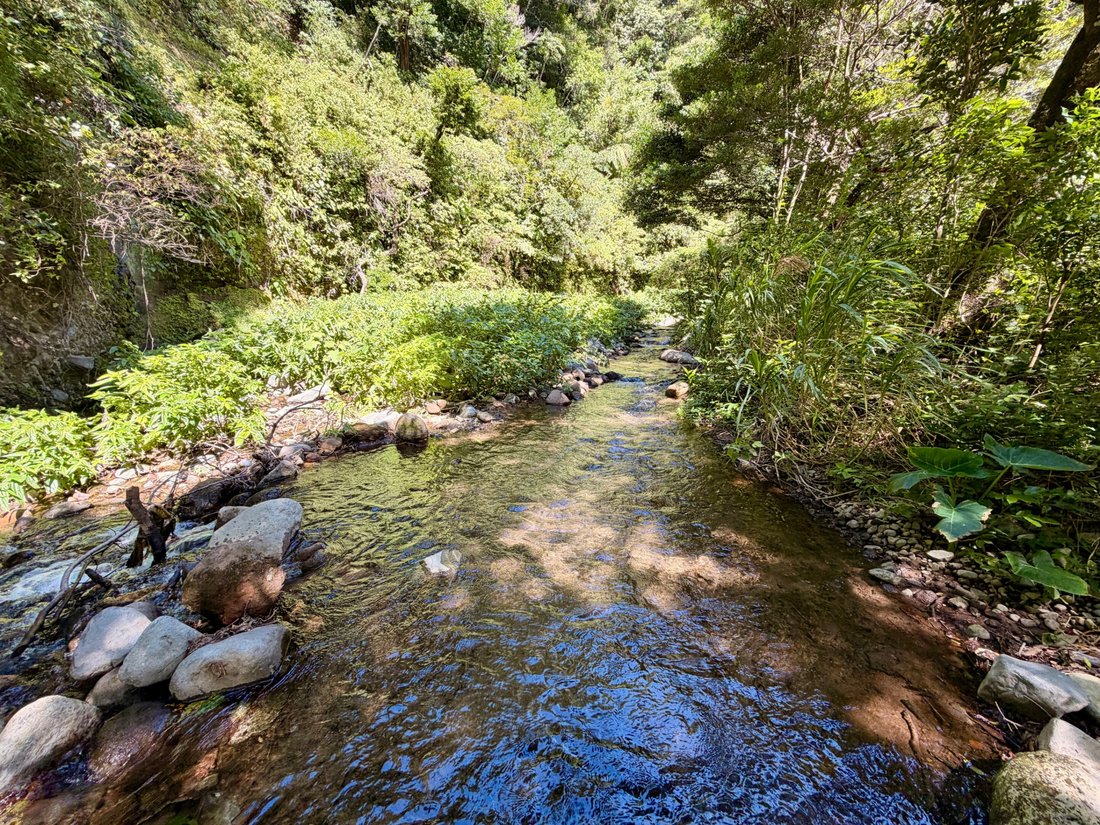 Land in Palmira, Chiriquí Province, Panama 1 - 18644181