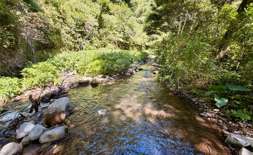 Land in Palmira, Chiriquí Province, Panama 1