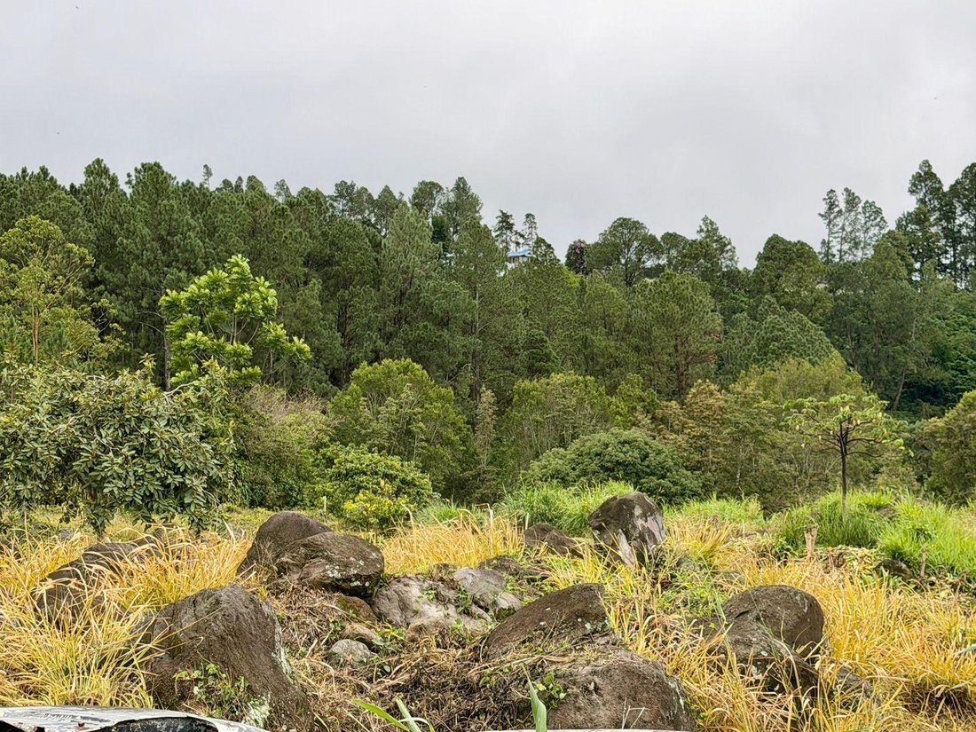 Land in Los Naranjos, Chiriquí Province, Panama 4 - 18644154