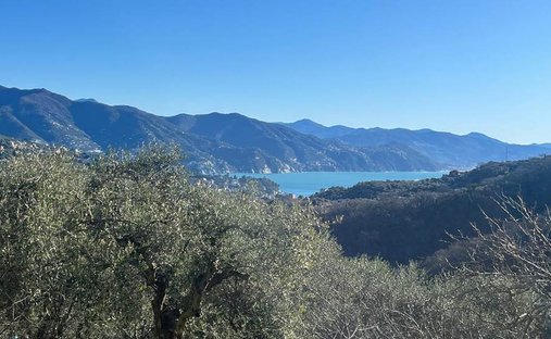 Villa in Center, Santa Margherita Ligure, Liguria 1