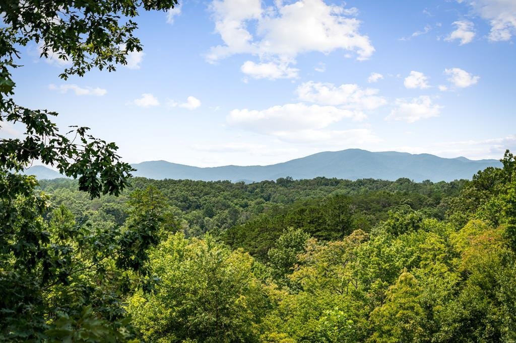 House in Copperhill, Tennessee, United States 3 - 18644212