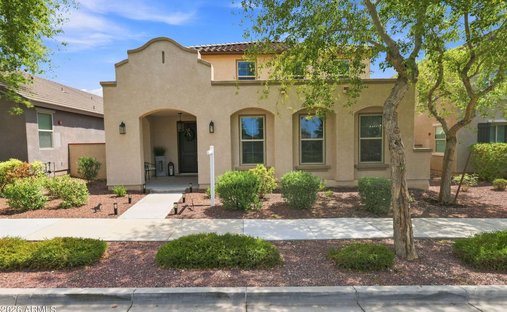 House in Buckeye, Arizona, United States 1