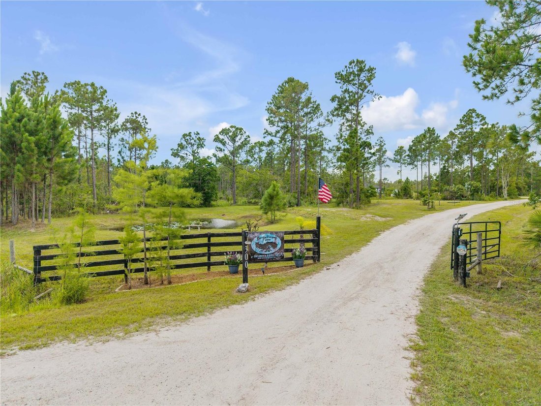 House in DeLand, Florida, United States 4 - 18643082