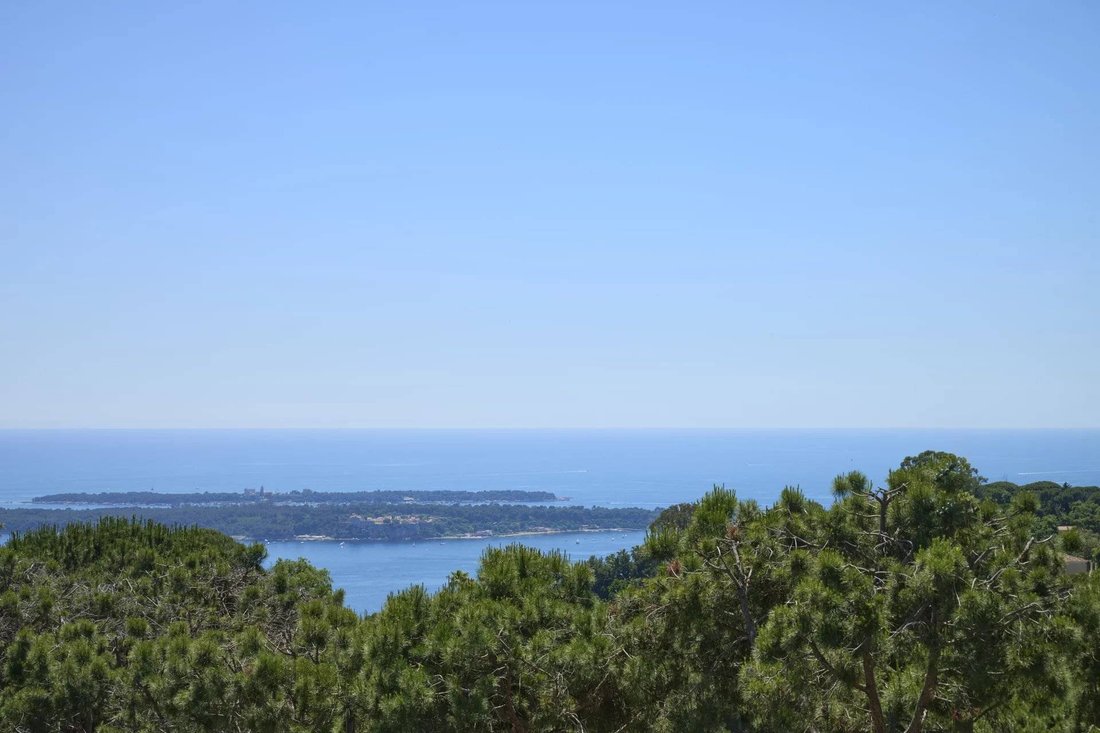 Villa in Cannes, Provence-Alpes-Côte d'Azur, France 2 - 15751767