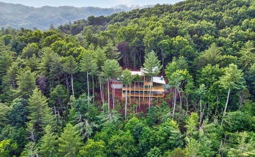 Casa en Cherry Log, Georgia, Estados Unidos 1