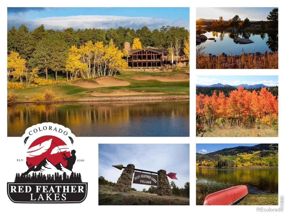 House in Red Feather Lakes, Colorado, United States 3 - 18645699