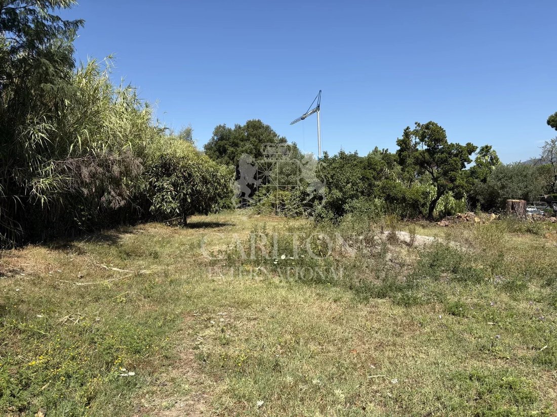 Land in Gassin, Provence-Alpes-Côte d'Azur, France 1 - 18643940